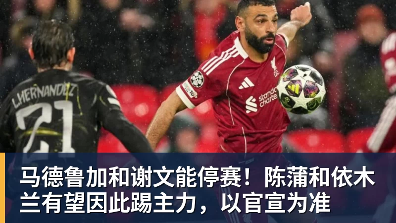 媒体盛赞王楚钦!乒坛现象级超级巨星,上半年国际赛场胜率94% - 乐鱼官方网站 - 乐鱼leyu(中国)